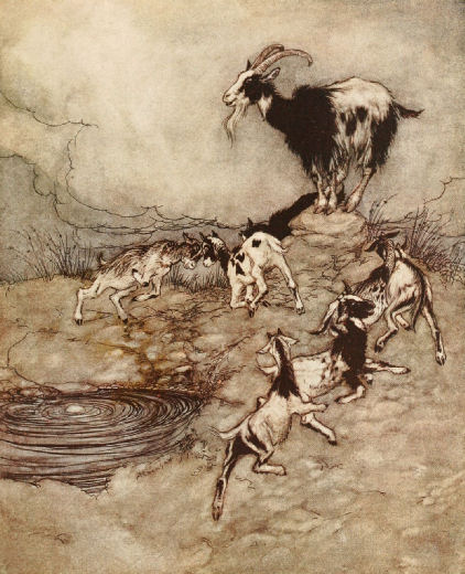 The Seven Kids and their mother capered and danced round the spring in their joy - Arthur Rackham