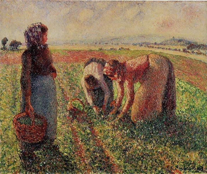 Picking Peas, c.1893 - Камиль Писсарро