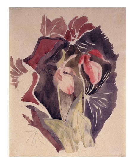 Wild Orchids, 1920 - Charles Demuth