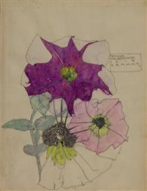 Petunia, Walberswick - Charles Rennie Mackintosh