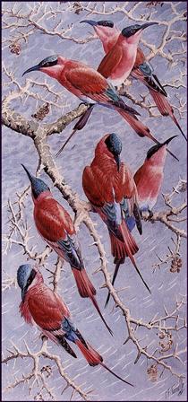 Carmine Bee Eaters - Charles Tunnicliffe