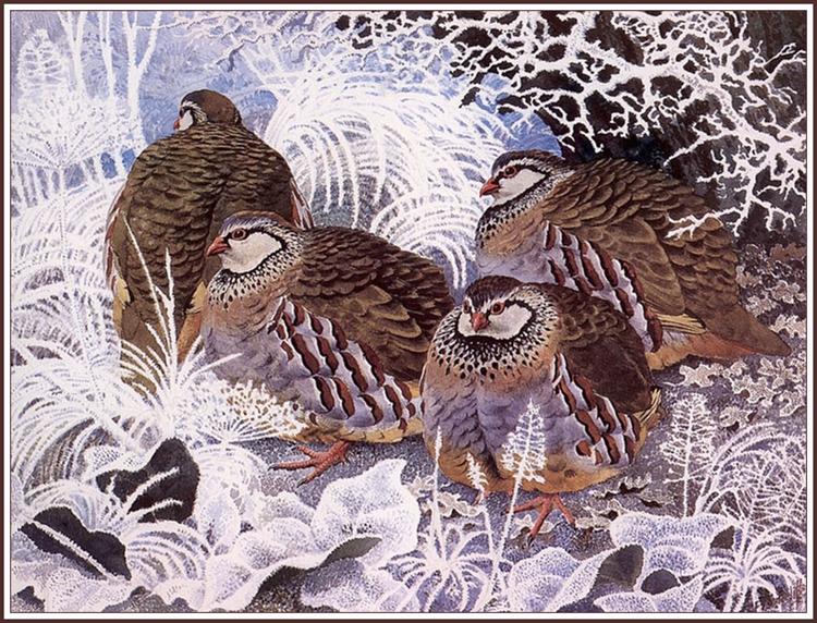 French Partridges - Charles Tunnicliffe