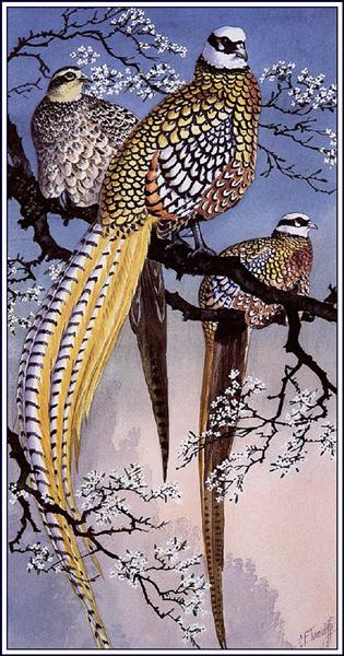Reeve's Pheasants - Charles Tunnicliffe
