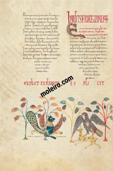 Decorative miniature. Coreus and the eagle catching the gazelle, c.975 - Ende