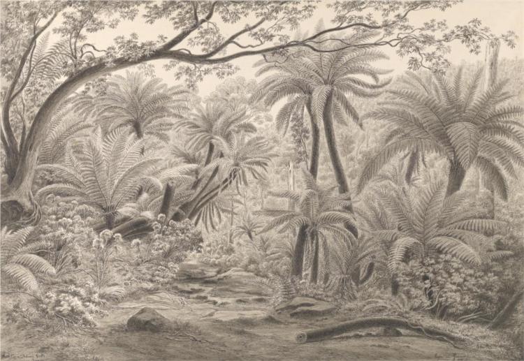 Ferntree or Dobson's Gully, Dandenong Ranges, 1858 - Ойген фон Герард