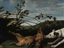 Greyhound Catching a Young Wild Boar - Frans Snyders