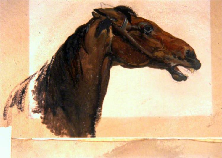 Horse's Head, 1836 - George Harvey