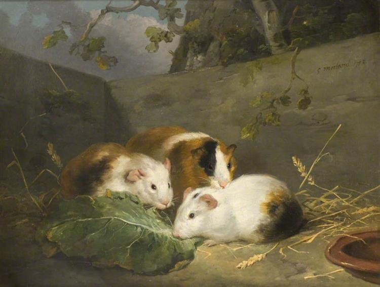 Porquinhos-da-índia, 1792 - George Morland