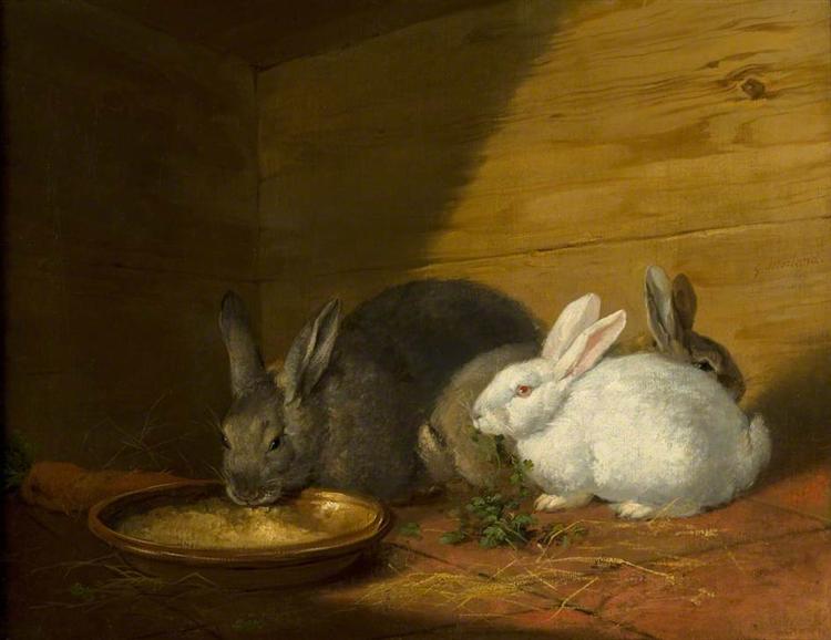 Rabbits - George Morland