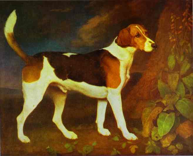 A Foxhound, Ringwod, 1792 - Джордж Стаббс