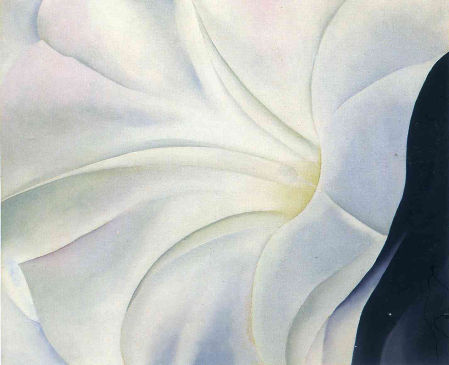 Morning Glory with Black, 1926 - Georgia O'Keeffe - WikiArt.org