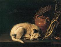 A Sleeping Dog with Terracotta Pot - Gerard Dou