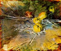 Apples 'Calville Blanc d'hiver' - 乔瓦尼·波尔蒂尼