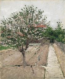Apple Tree in Blossom - Gustave Caillebotte