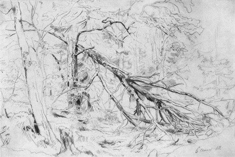 Broken Birch, 1872 - Iván Shishkin