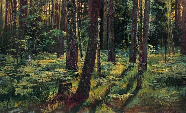 Папоротники в лесу. Сиверская, 1883 - Иван Шишкин