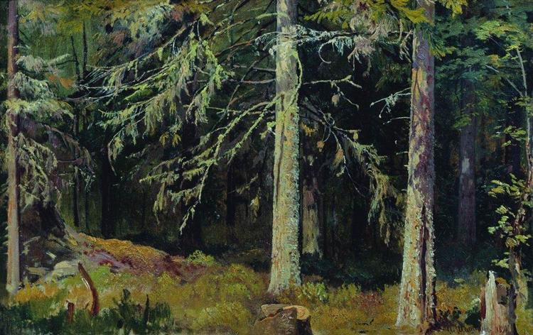 Fir forest, 1890 - Ivan Chichkine