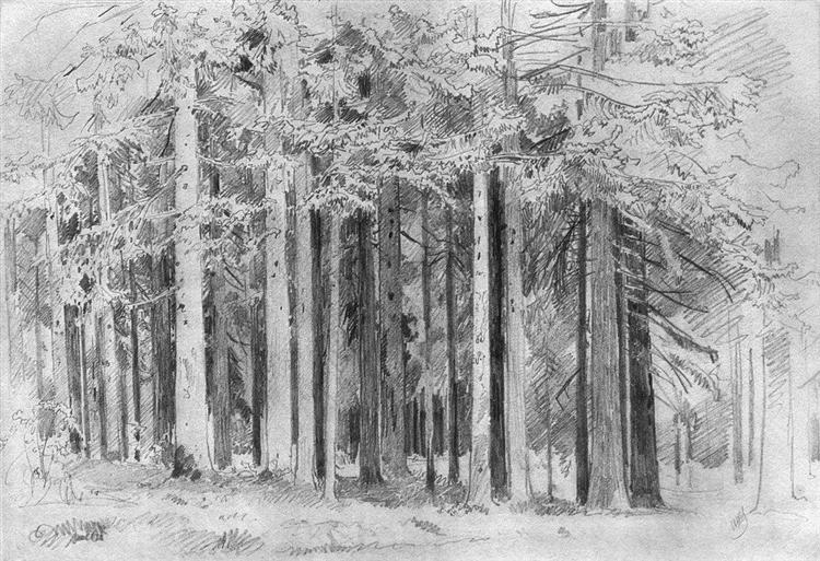Forest - Iván Shishkin