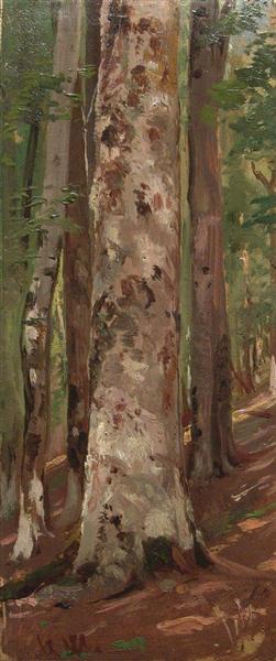 Forest - Ivan Chichkine