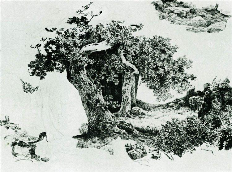 Group of deciduous trees and stones - Ivan Shishkin