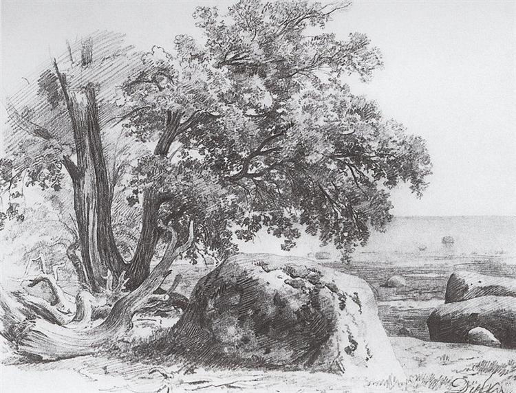 Oak on the shore of the Gulf of Finland, 1857 - Iwan Iwanowitsch Schischkin