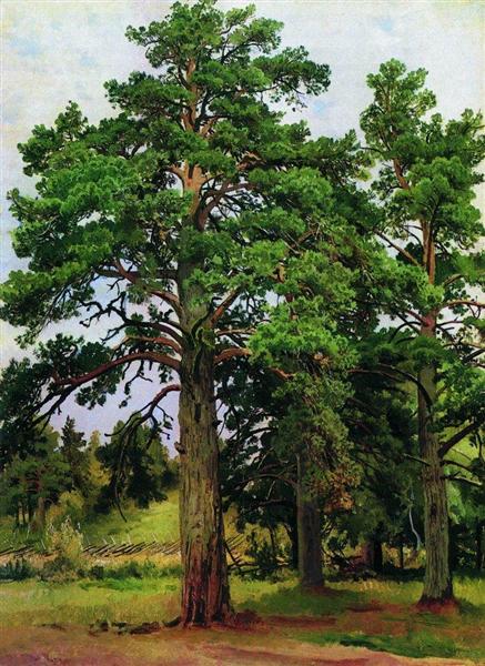 Pine without the sun. Mary-Howe, 1890 - Iván Shishkin