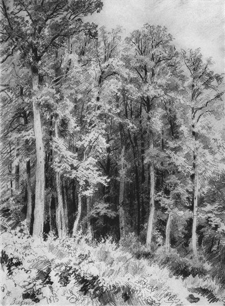 Trees. Kozlovka-Zaseka, 1873 - Іван Шишкін