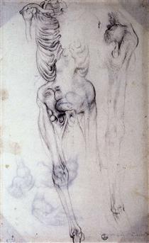 Anatomical study - Jacopo Pontormo