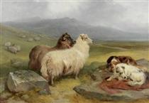 Highland Landscape with Sheep and Dogs - James Campbell Noble