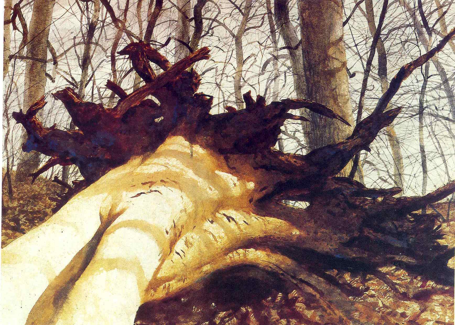 Fallen 1975 Jamie Wyeth WikiArt Org   Fallen 1975 