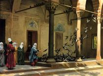 Harem Women Feeding Pigeons in a Courtyard - Jean-Leon Gerome
