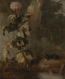 An Egyptian Poppy and a Water Mole - John Crome