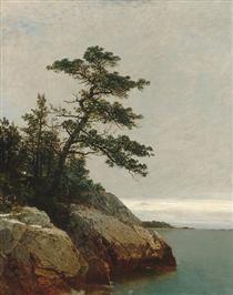 The Old Pine, Darien, Connecticut - John Frederick Kensett