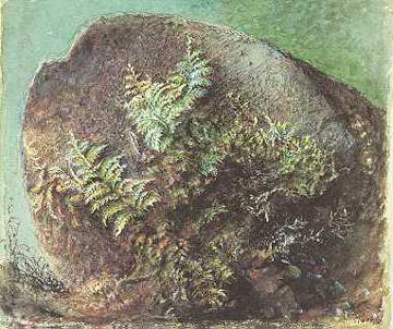 Ferns on a Rock, 1875 - John Ruskin