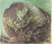 Ferns on a Rock - 約翰·拉斯金