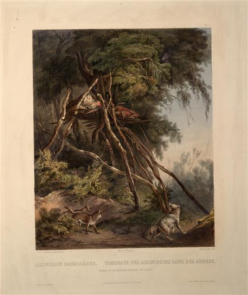 Tombs of Assiniboin Indians on Trees, plate 30 from volume 1 of `Travels in the Interior of North America', 1832 - Карл Бодмер