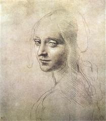 Head of a girl - Léonard de Vinci