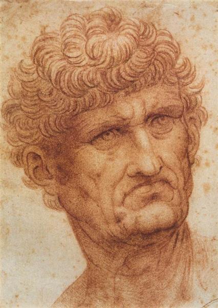 Head of a Man, c.1503 - Léonard de Vinci