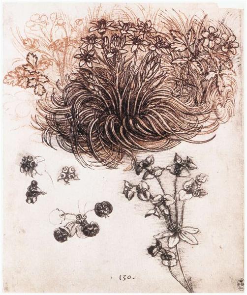 Stof Bethlehem and other plants, c.1506 - Леонардо да Винчи