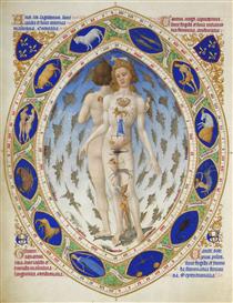 The Anatomy of Man - Limbourg brothers