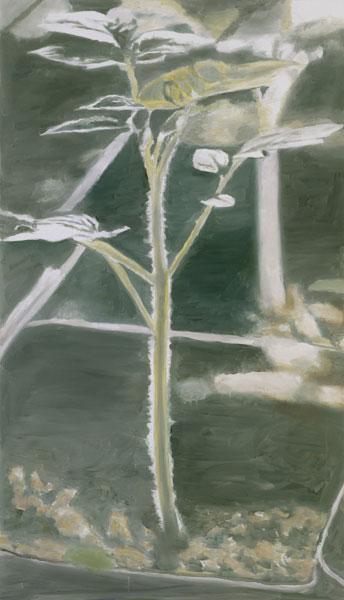 Plant, 2003 - Luc Tuymans