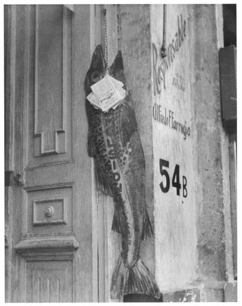 The big fish eats the little one, 1932 - Manuel Alvarez Bravo