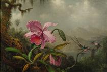 Orchids and Hummingbirds - Martin Johnson Heade