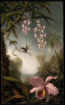 Orchids and Spray Orchids with Hummingbird - Martin Johnson Heade