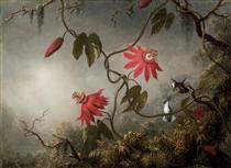 Passion Flowers with Hummingbirds - Martin Johnson Heade