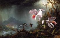 Two Fighting Hummingbirds with Two Orchids - Мартин Джонсон Хед