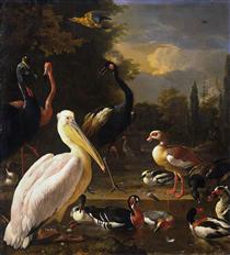 A Pelican and Other Birds Near a Pool (The Floating Feather) - Melchior d'Hondecoeter