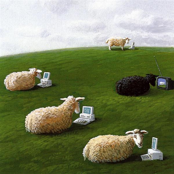 Sheep with Laptops - Michael Sowa