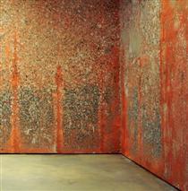 Mur de poils de carotte - Michel Blazy