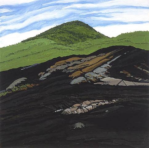 Blueberry Burn Morey's Hill, 1997 - Neil Welliver